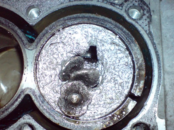 xSC00032.JPG