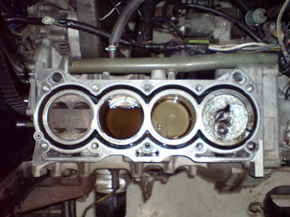 xSC00033.JPG