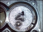 xSC00032.JPG